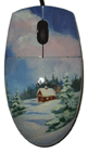 Russian painted mouse